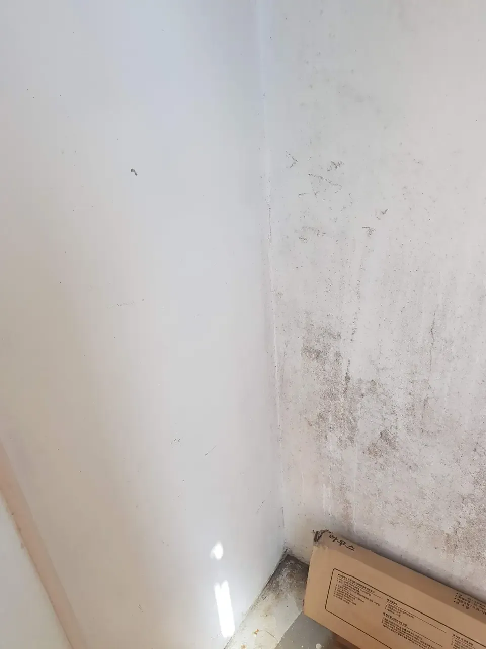 A balcony corner with grey mould spreading across the lower wall behind a flattened cardboard box