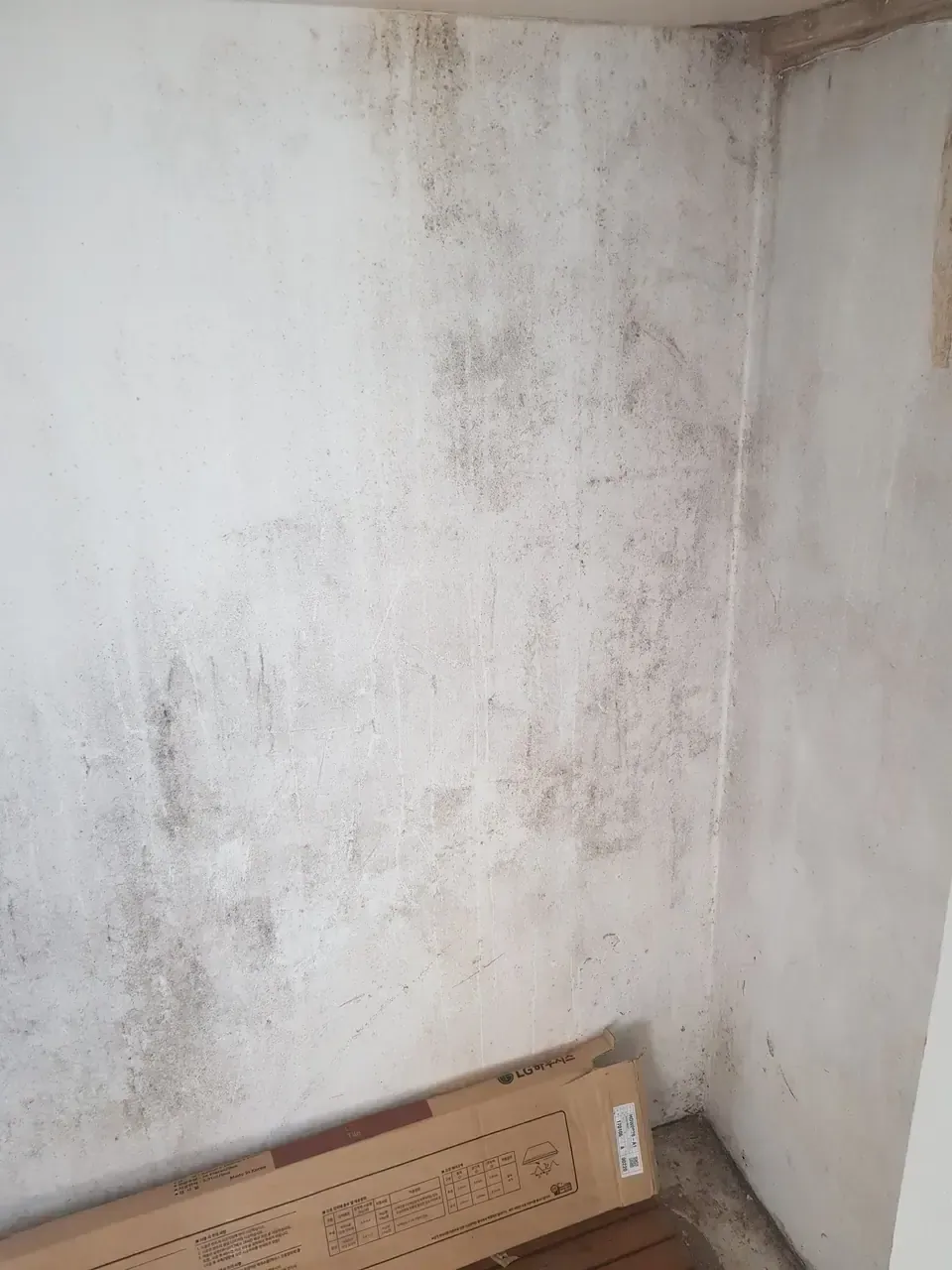 A balcony wall with widespread grey-brown soiling and mould