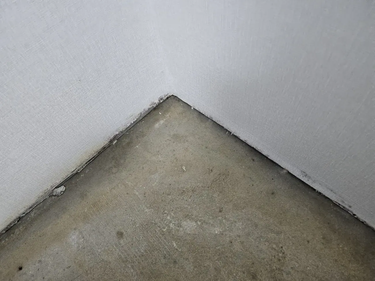 A gloved hand lifting a baseboard strip away from the wall, revealing a dark band of mould along the wallpaper edge and the concrete floor slab