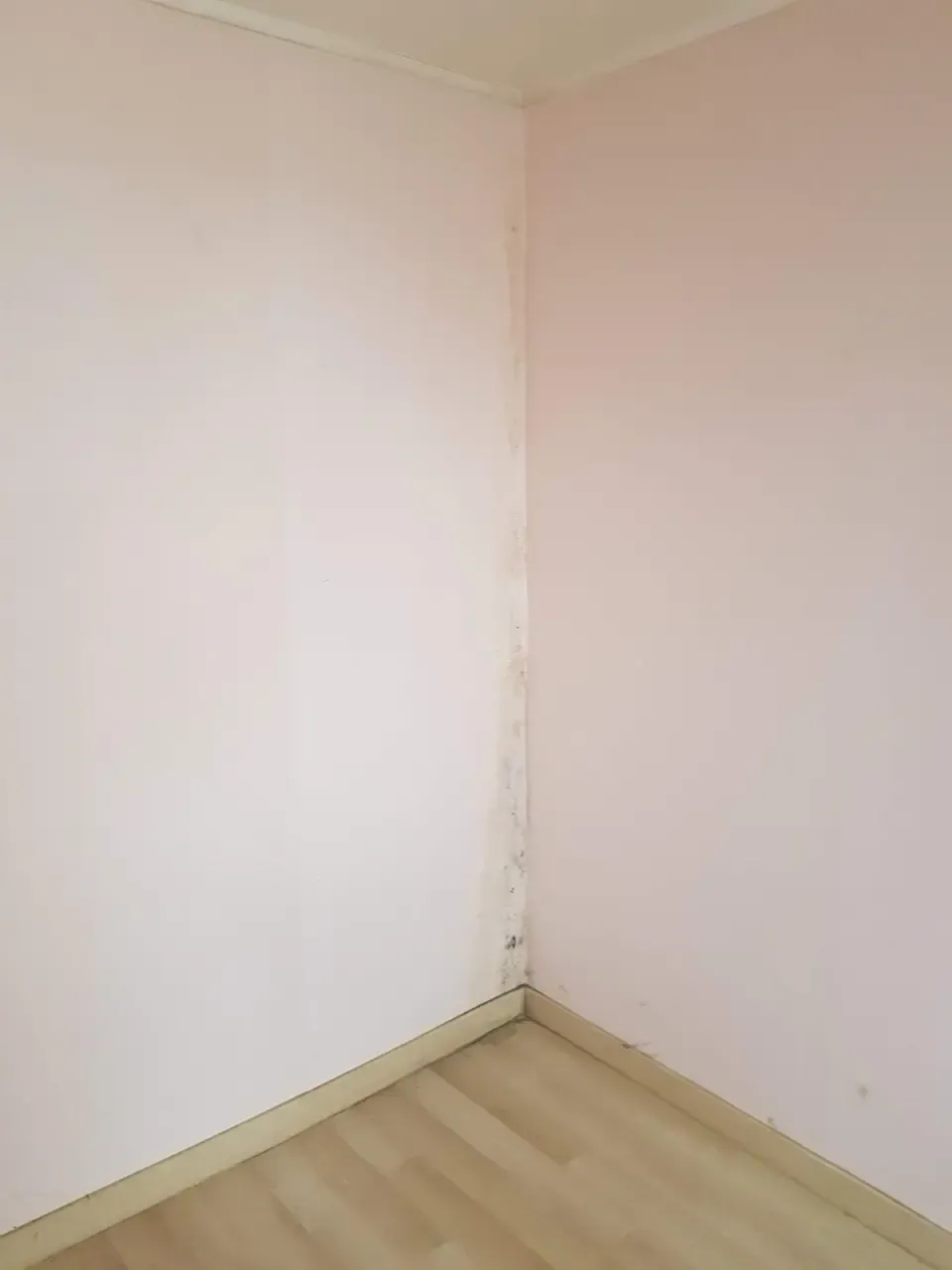 The corner of an empty room where a black mould line runs along the join between the wall and the skirting