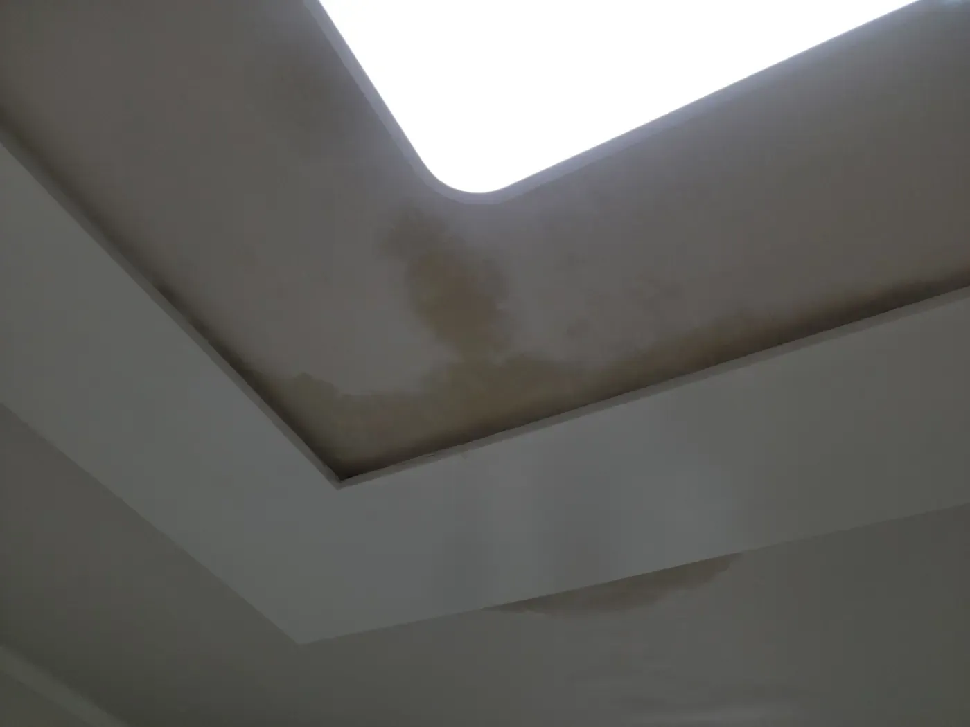 A larger brown water stain spreading across a ceiling beside a light fitting