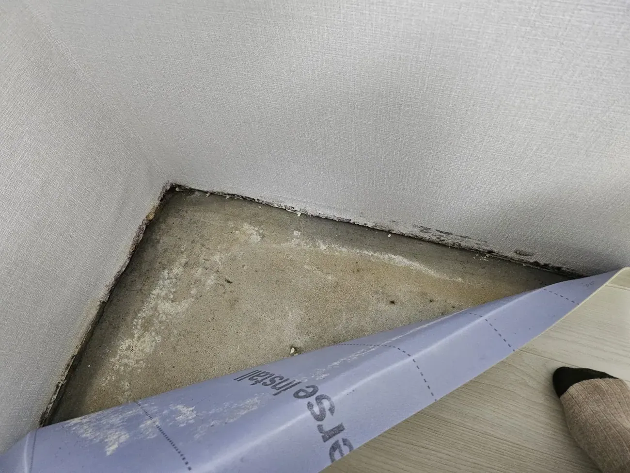 Mould visible in the corner where two walls meet the floor, behind a lifted strip
