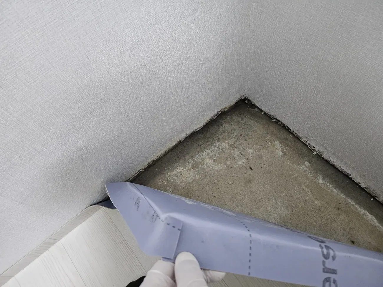 White salt deposits and dark mould on concrete at the base of a wall