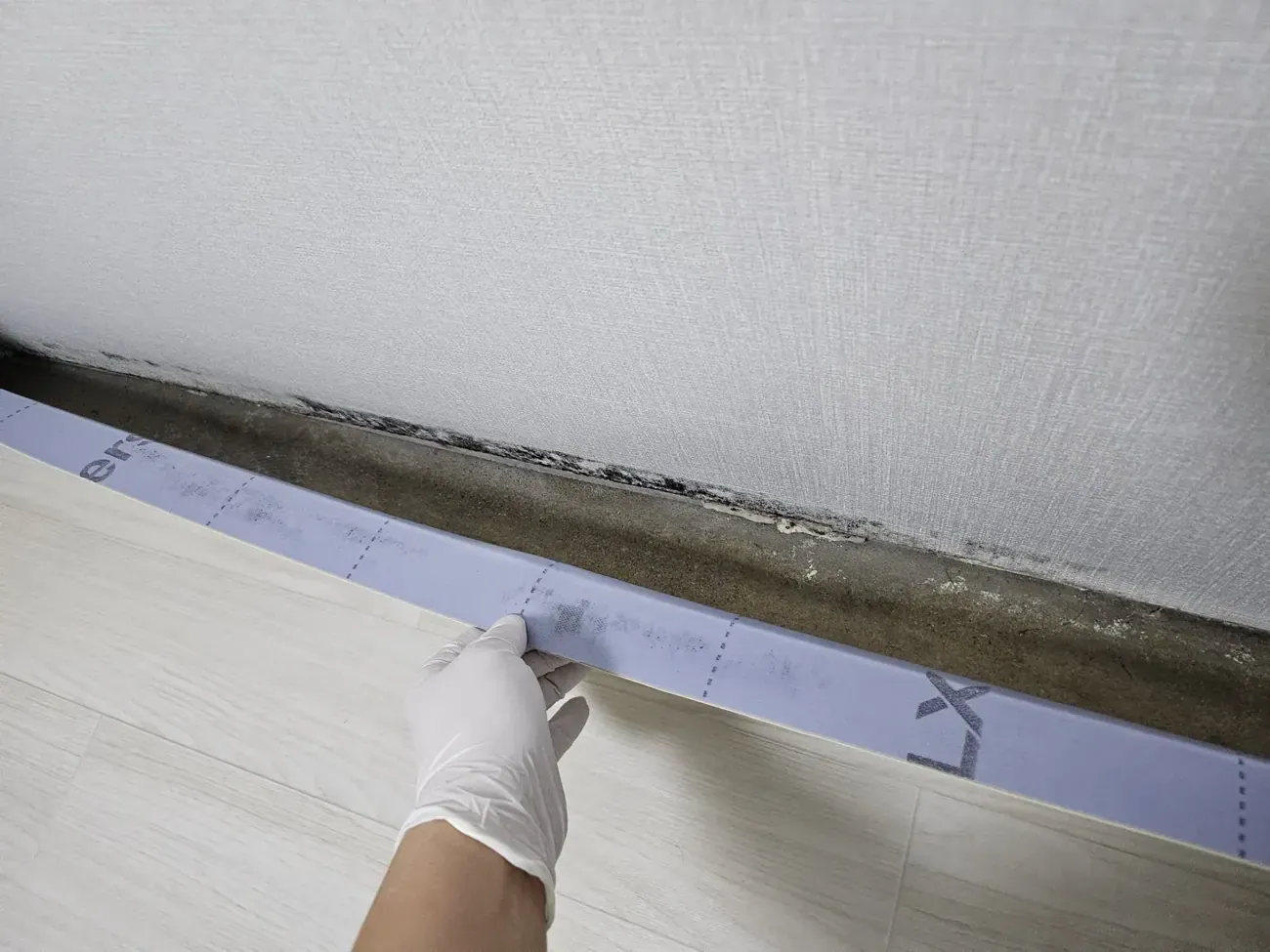 Black mould along the base of a wall behind a lifted strip