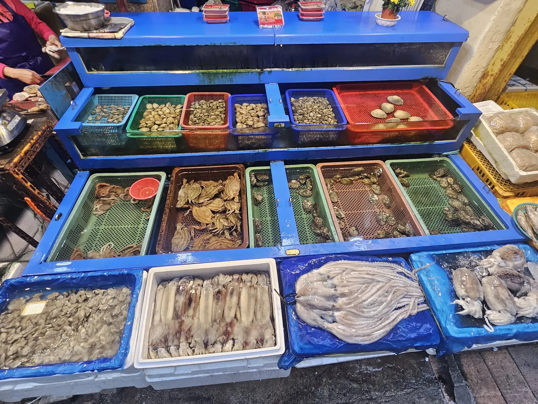 Market trays of clams, oysters, squid and octopus on ice at a Seoul fish market