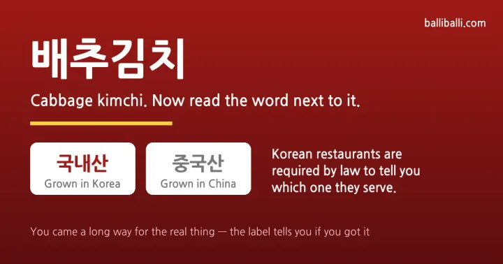 Typographic cover reading 배추김치 with two labels, 국내산 grown in Korea and 중국산 grown in China
