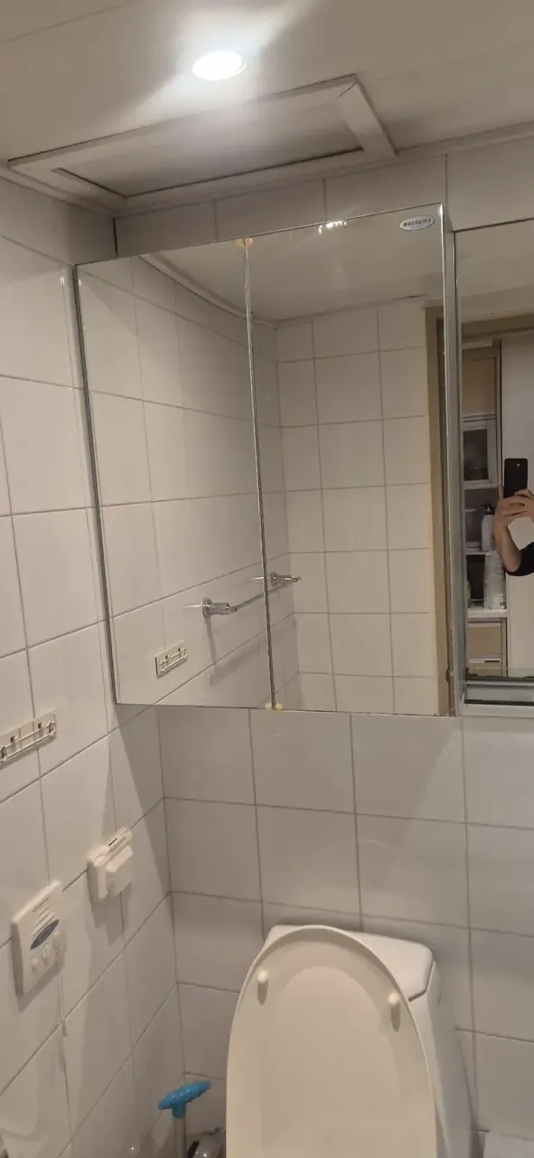 A bathroom mirror cabinet above a toilet, cleaned, reflecting the tiled wall opposite
