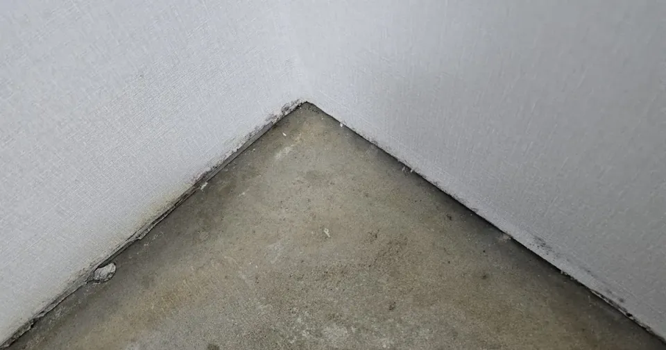 A gloved hand pulling back a plastic baseboard strip to reveal black mould along the bottom edge of the wallpaper and the concrete beneath