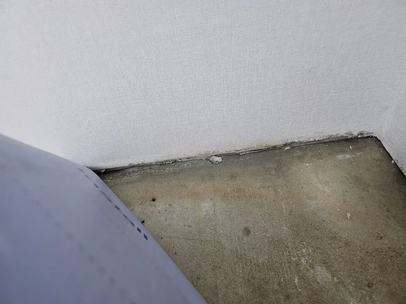A close-up of black mould in a continuous band along the wall base, behind the removed strip