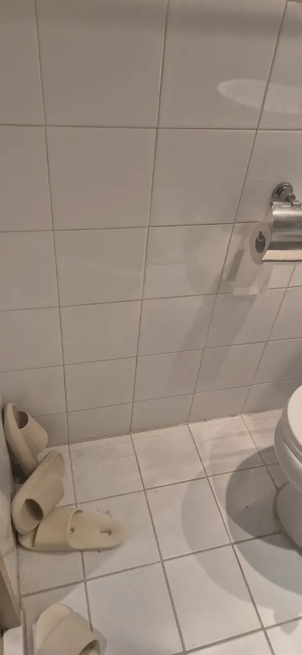 Tiled wall and floor beside a toilet before cleaning, the grout lines darkened