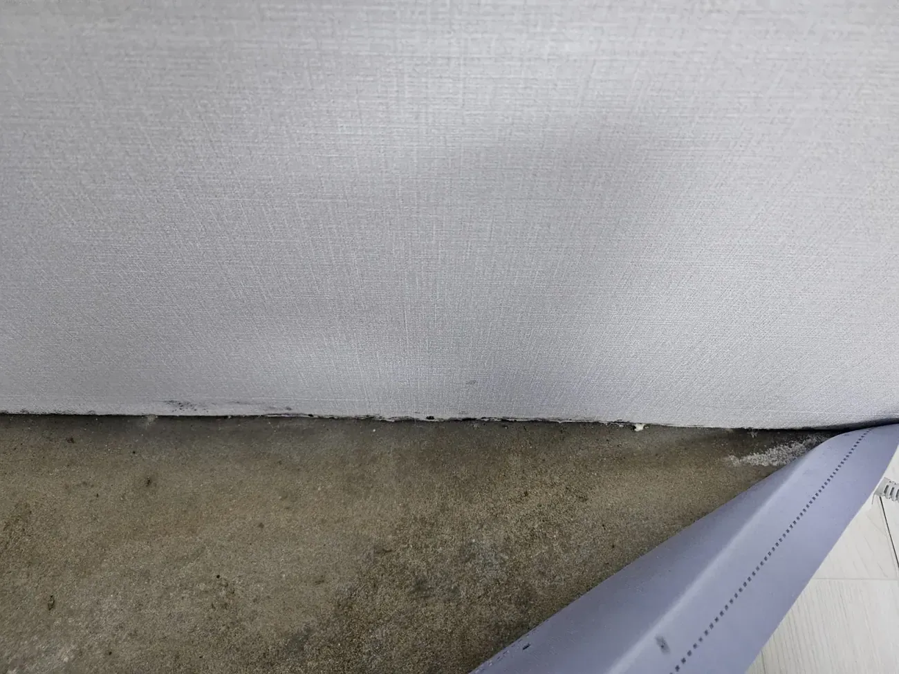 Black mould along the base of a wall where the wallpaper meets the concrete