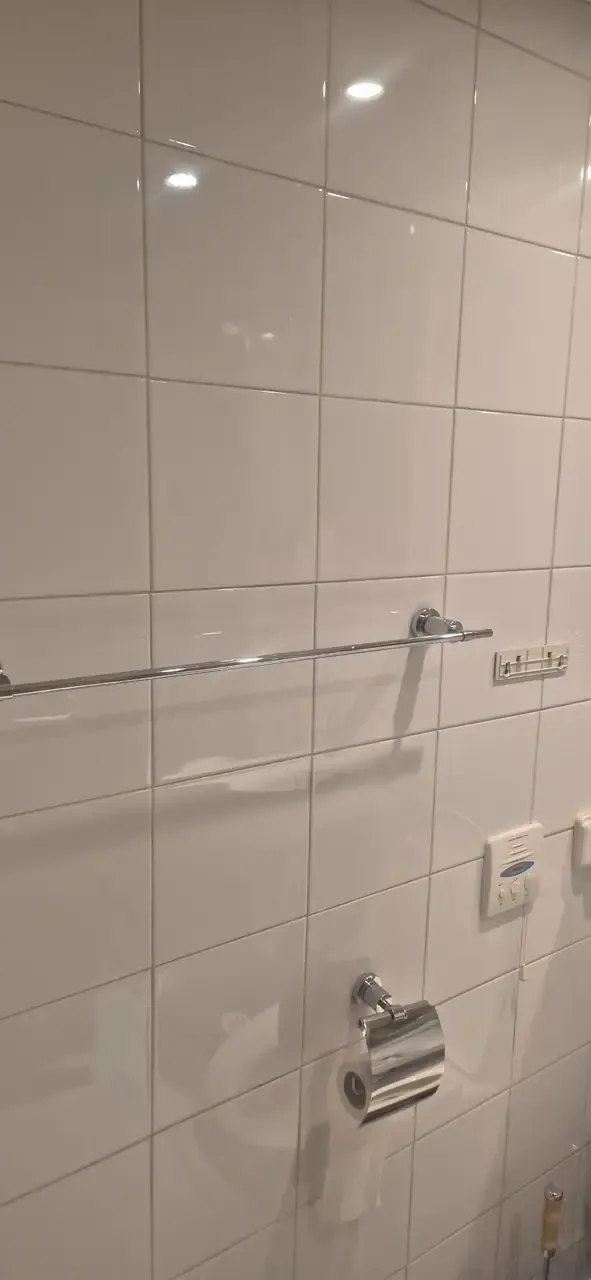 A cleaned tiled wall beside the toilet with a towel rail and paper holder