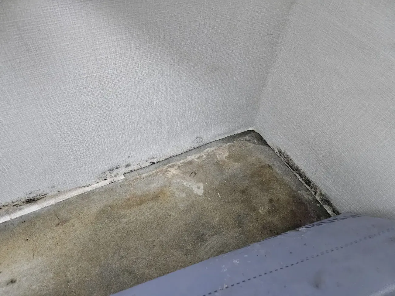 The blackened bottom edge of wallpaper where it meets the floor